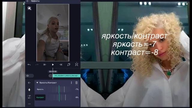 туториал на тему для диалогов в Alight Motion ✨🪴