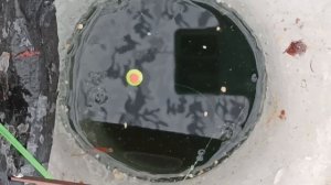 Межура зимний карась. Попал на раздачу зимнего карася! Пулеметный клёв)) Зимняя рыбалка 12.01.2023