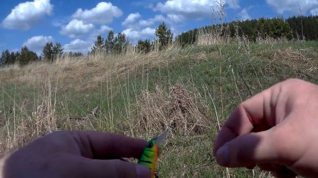 Анаконда ловит ЩУК!!! Выгулял Vanford c Inspire. смотреть онлайн