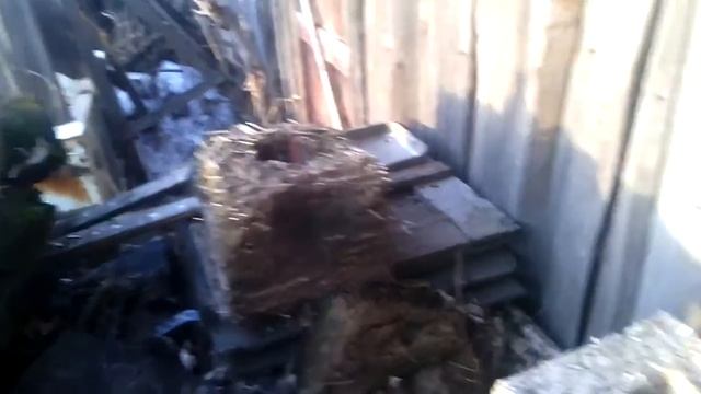 Легкий саман из травы и из бумаги смотреть онлайн