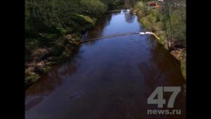 Река Пчёвжа Новгородская область