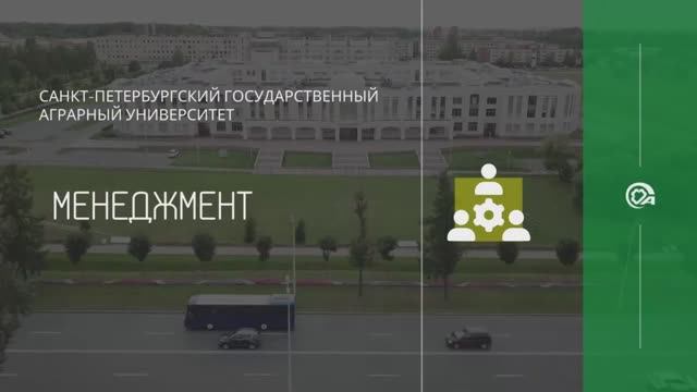 Направление подготовки менеджмент