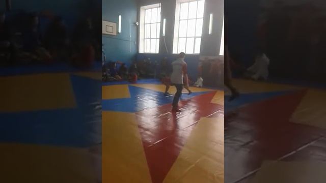 сревны по самбо смотреть онлайн