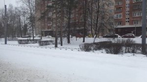 Троллейбус "6851 по 40 и замерзший пруд" СПб 11-***: ВМЗ-5298.01 6851 по №40 (22.01.21)