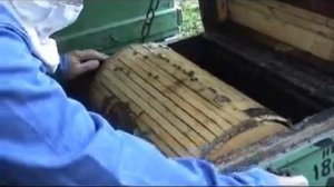 Круглая рамка Белоусова - часть 3