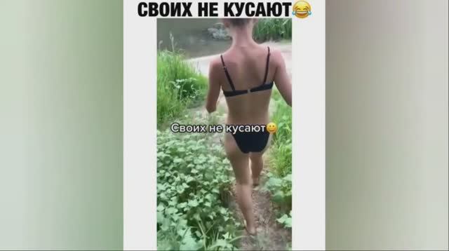 Смешные ролики из инстаграм №50