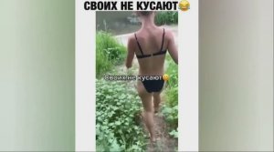 Смешные ролики из инстаграм №50