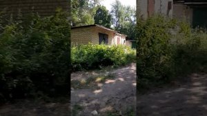 Междуреченск Сызранский район набережная