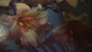 Васильки(Разбрелись возле тихой реки)наброски)