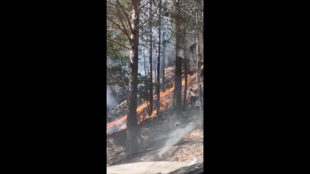 Пожар в лесу Читы смотреть онлайн