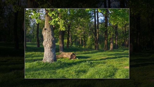 ''Ах любовь'' - Валерий Семин смотреть онлайн