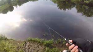 Рыбалка в Сургуте Солкино 16 07 2017