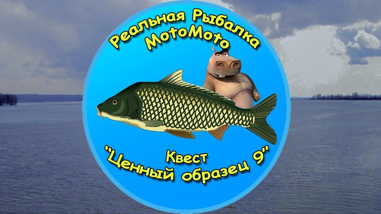 Квест 