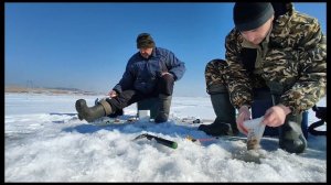 Рыбалка на озере Птичье и на озере Чалпан в начале марта.