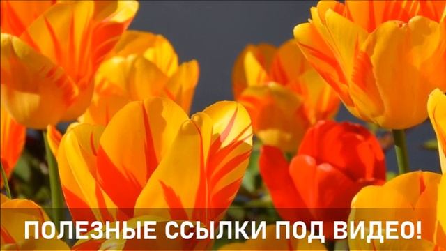 ПОДЪЕМ ИЛИ СПАД? смотреть онлайн