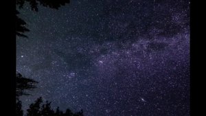 Звуки природы, Пение птиц, звуки сверчков.