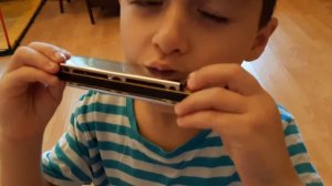 Музыка Тимура на губной гармошке