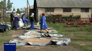 СЕЛЕКЦИОНЕРЫ ОБ ЭЛИТНЫХ СЕМЕНАХ И ПРОБЛЕМАХ УРОЖАЯ