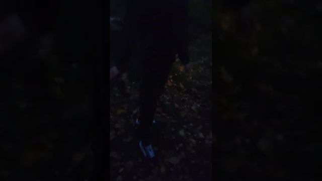 красиво уничтожаем спрайт в лесу смотреть онлайн