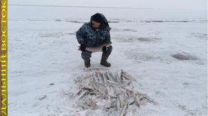 Рыбалка на щуку хапугой и каромыслом по перволедью.avi