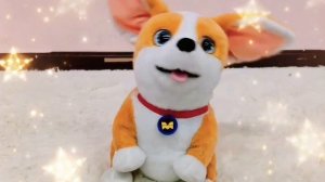 MOCO and YUMMY? | MOCO Toy Showcase MOCO玩具展示 | Flying MOCO Shorts 爆笑飛狗MOCO (2023)