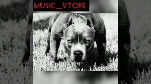 Чингиз Валинуров - ATAMAN