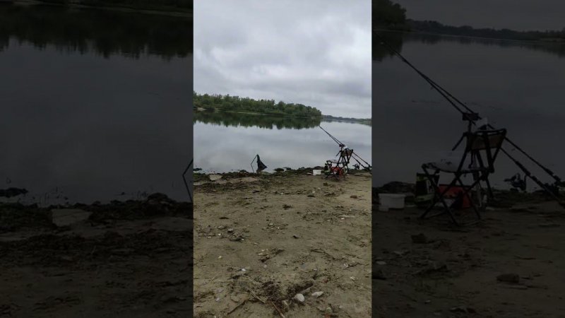 рыбалка и шашлык