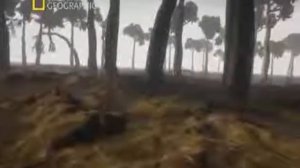 ДИНОЗАВРЫ. Доисторическая Земля. Первобытная планета. На Заре времен.