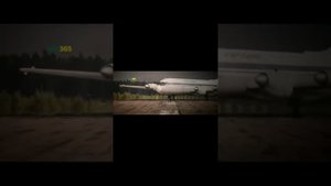 очень грустный  Фильм Пальма
