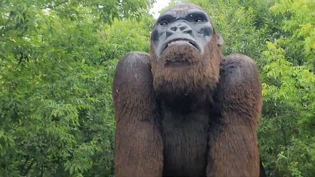 парк Сказка смотреть онлайн