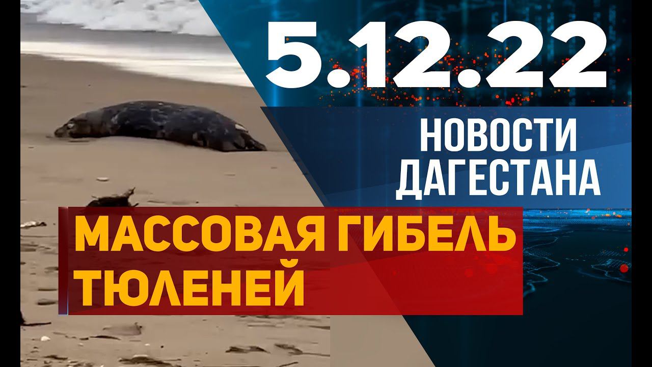 Новости Дагестана за 5.12.2022 год