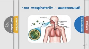 Что такое ОРВИ. Почему вирусов много, а болезнь одна