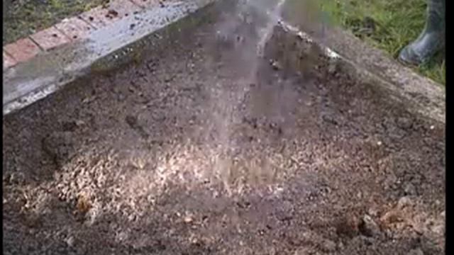 Sådan planter du rhododendron смотреть онлайн