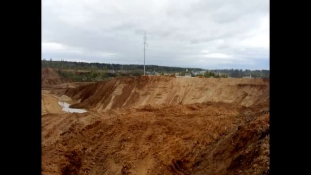 в тучково появился новый вид короеда! смотреть онлайн