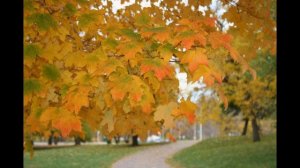 Франсис Гойя - Концерт для одного голоса