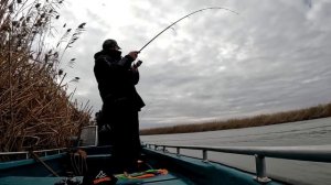 РЫБАЛКА В АСТРАХАНИ! ЗАГОТОВКА СУДАКА НА НОВЫЙ ГОД!