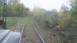 Поездка на Зелёный остров