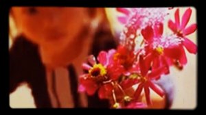 Солнечный круг! (Пусть всегда будет солнце) - Минус