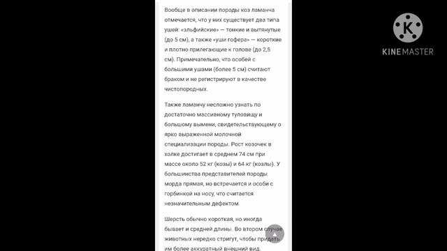 Кто такие ламанча описание