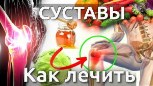 Плазма в колено, как лечить суставы, лечить сустав колена, артроз коленного сустава, артроз сустава.