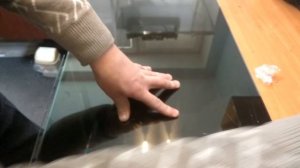 ответы на вопросы.mp4