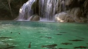 Иисусу верить не напрасно (2). Минус. Родник хвалы и вдохновенья.mp4