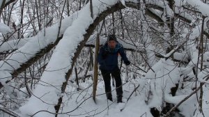 В поисках лесного балагана видеографа Drakon-veter!