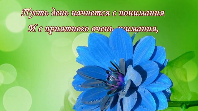 Добрый день?Я желаю тебе доброго дня?короткие видео пожелания доброго хорошего дня смотреть онлайн