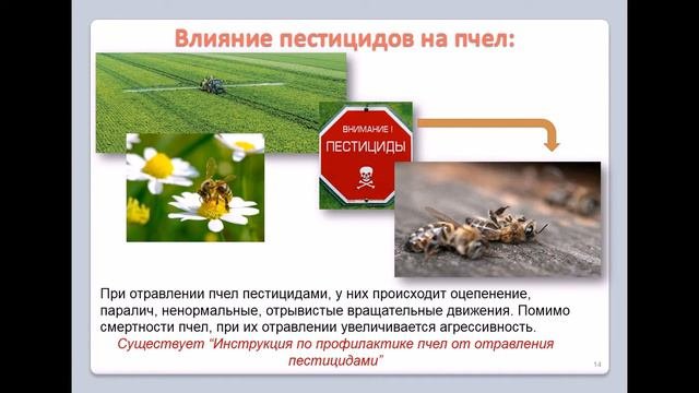 О пестицидах.
