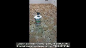 Пол из дуба, спил дерева