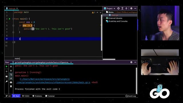 Golang "Exception Handling" - ULTIMATE Golang Basics Tutorial