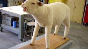 Animated sheep puppet by Animal Makers