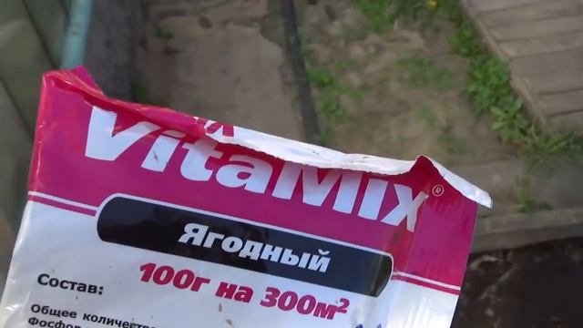 О смородинке