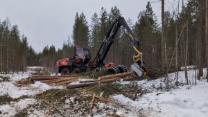 Харвестеры и форвардеры КАМАЗ на испытаниях